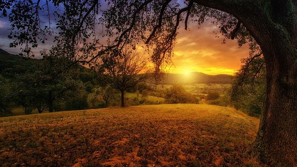 naturaleza canto canción escuchar